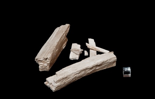 Holzopal (Foto: Christoph Weber)